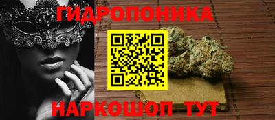 мяу мяу мука Будённовск