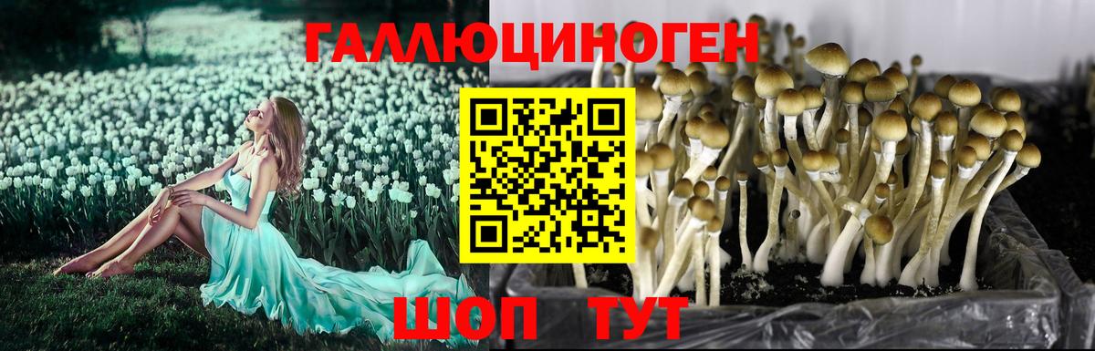 Псилоцибиновые грибы мухоморы Сургут